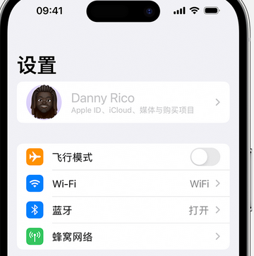 秀屿appleID维修服务iPhone设置中Apple ID显示为灰色无法使用 