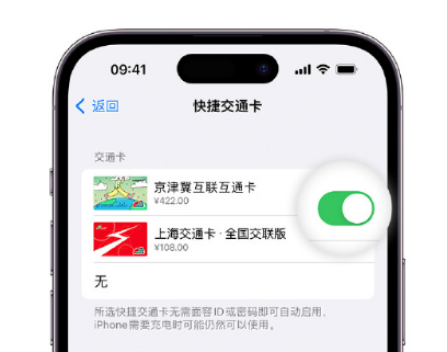 秀屿apple维修点分享iPhone上更换Apple Pay快捷交通卡手绘卡面 