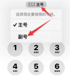 秀屿苹果14维修店分享iPhone 14 Pro Max使用副卡打电话的方法 