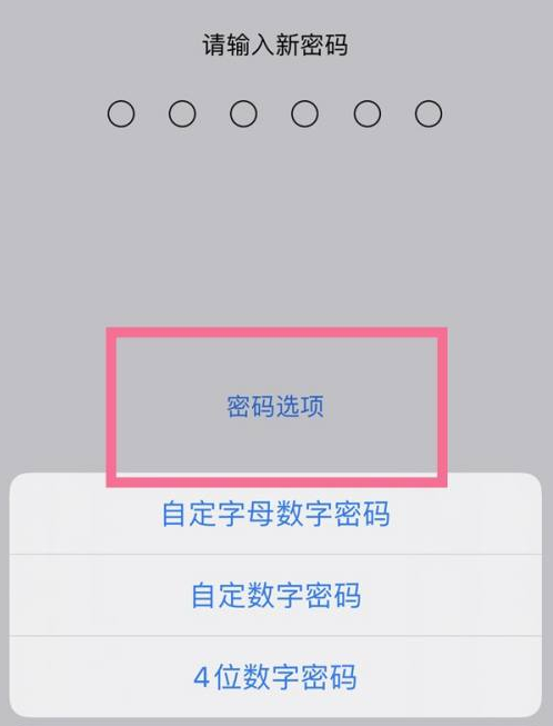 秀屿苹果14维修分享iPhone 14plus设置密码的方法 